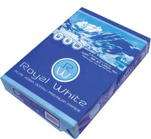 Papir kopirni, 80g, 500/1