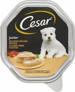Pašteta za pse Cesar, Junior, puran, teletina, 150 g