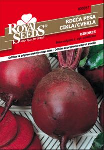 Seme Royal, rdeča pesa Bikor, 67