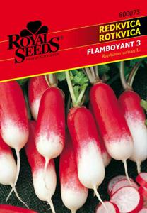 Seme Royal, redkvica, Flamboy.73