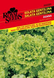 Seme Royal, solata Dian gentilina 85