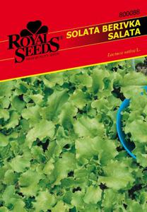 Seme Royal, solata berivka 88