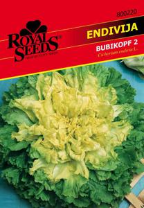 Seme Royal 220 ,endivja, dečja glava