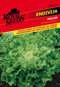 Seme Royal, solata Endivja Malan, 223