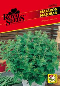 Seme Royal, majaron, 260