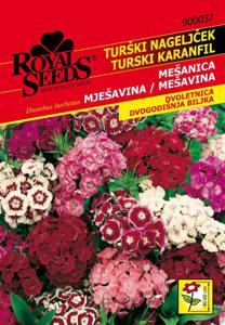 Seme Royal 37, turški nageljček