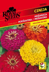 Seme Royal, cinija, mešanica, 82
