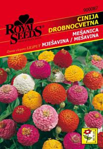 Seme Royal, cinija, drobnocvetna Liliput, 87