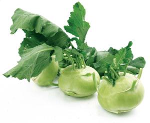 Koleraba nadzemna