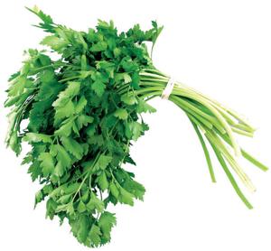 Peteršilj